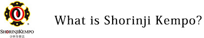 Welcome to Shorinji Kempo