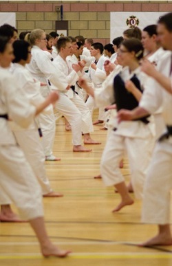 Kenshi from all over the UK training together and enjoying Shorinji Kempo.