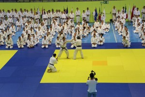 Instruction by Instructor Hiroshi Aosaka, member of the Board of Director of the WSKO.