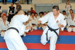 2009 Shorinji Kempo Embu Exchange Taikai in Bali3