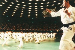 1993  Shorinji Kempo International Taikai in Osaka3
