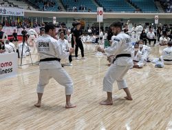 2023 Shorinji Kempo World Taikai in Tokyo, Japan2